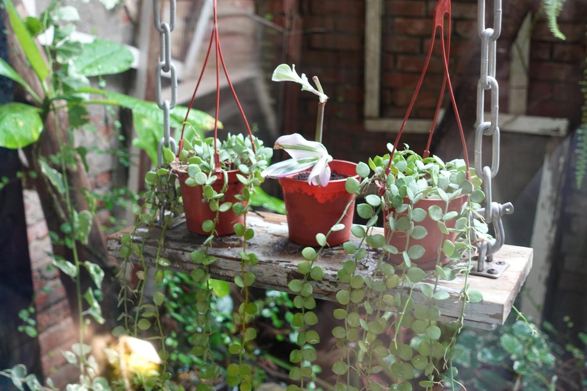 Fuqi Hostel - Heping Tainan Exterior foto